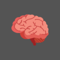 How Therapy Changes Your Brain